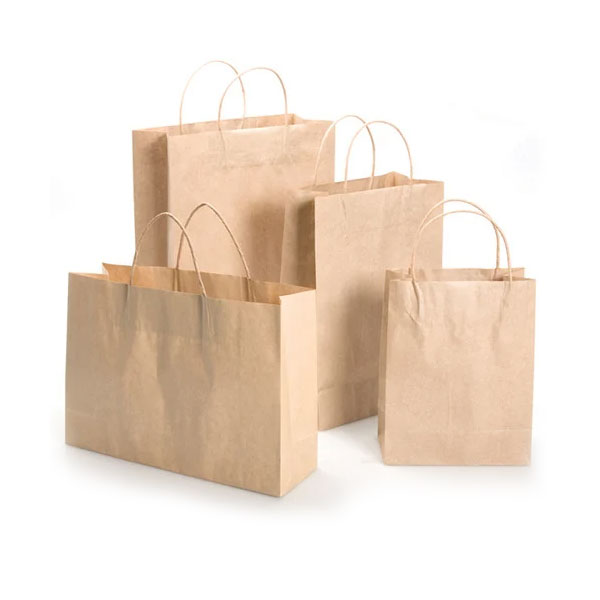 Brown Handmade Paper Carry Bag Manufacturers, Suppliers in Srinagar