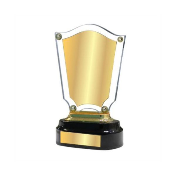 Gold Plated Acrylic Trophy  Manufacturers, Suppliers in Delhi